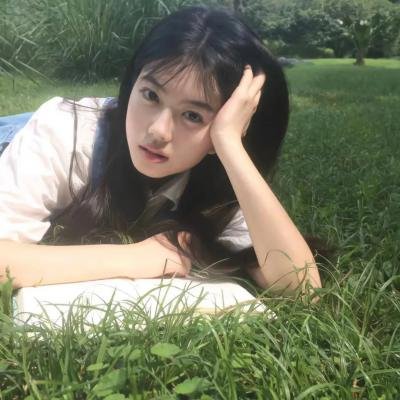 特禽鲨龙
