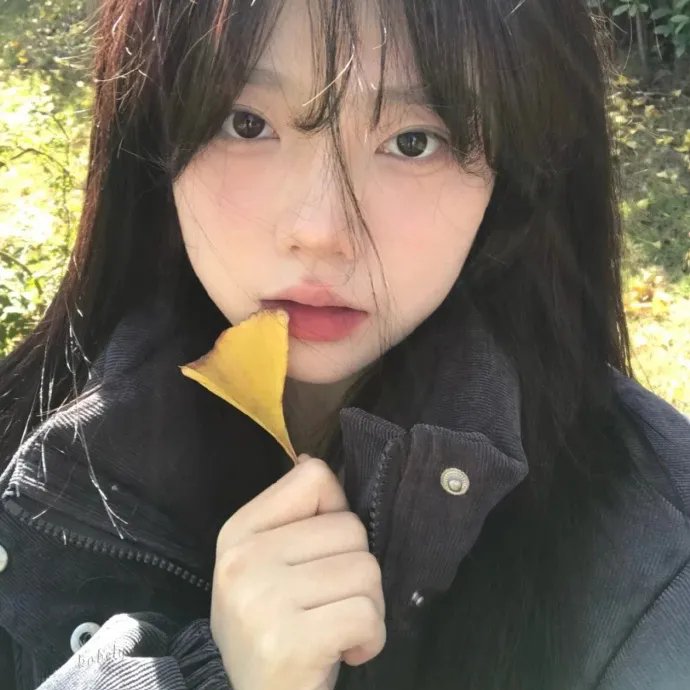双镯